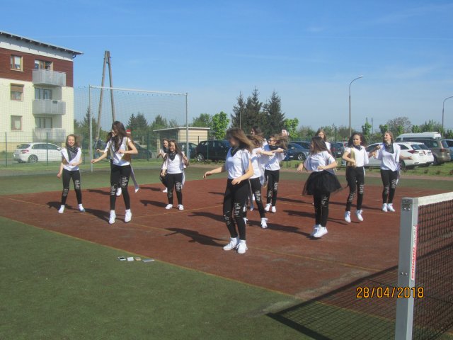 turta 213